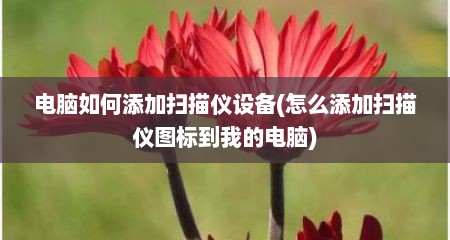 电脑如何添加扫描仪设备(怎么添加扫描仪图标到我的电脑)