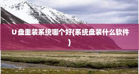 ∪盘重装系统哪个好(系统盘装什么软件)