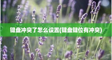 键盘冲突了怎么设置(键盘键位有冲突)