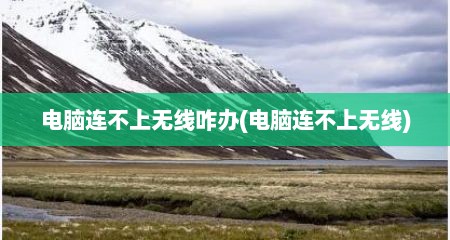 电脑连不上无线咋办(电脑连不上无线)