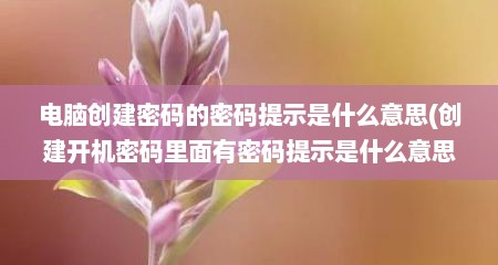 电脑创建密码的密码提示是什么意思(创建开机密码里面有密码提示是什么意思)