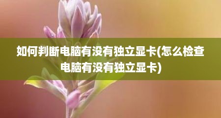如何判断电脑有没有独立显卡(怎么检查电脑有没有独立显卡)