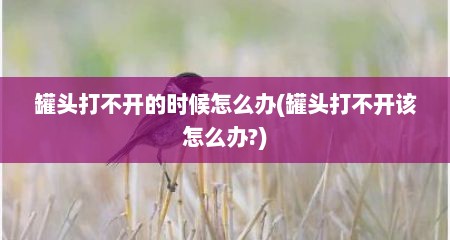 罐头打不开的时候怎么办(罐头打不开该怎么办?)