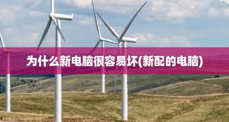 为什么新电脑很容易坏(新配的电脑)