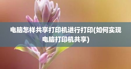 电脑怎样共享打印机进行打印(如何实现电脑打印机共享)