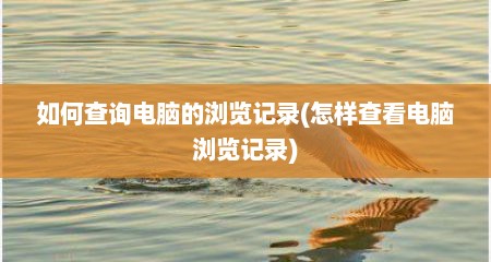 如何查询电脑的浏览记录(怎样查看电脑浏览记录)