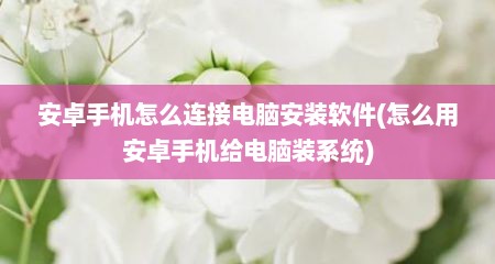 安卓手机怎么连接电脑安装软件(怎么用安卓手机给电脑装系统)