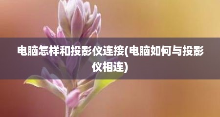 电脑怎样和投影仪连接(电脑如何与投影仪相连)