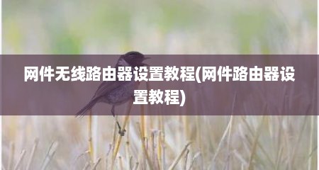 网件无线路由器设置教程(网件路由器设置教程)