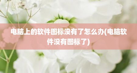 电脑上的软件图标没有了怎么办(电脑软件没有图标了)