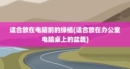 适合放在电脑前的绿植(适合放在办公室电脑桌上的盆栽)