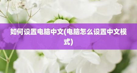 如何设置电脑中文(电脑怎么设置中文模式)