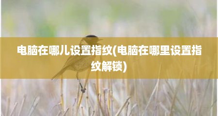 电脑在哪儿设置指纹(电脑在哪里设置指纹解锁)