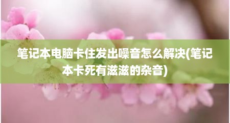 笔记本电脑卡住发出噪音怎么解决(笔记本卡死有滋滋的杂音)