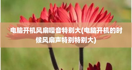 电脑开机风扇噪音特别大(电脑开机的时候风扇声特别特别大)