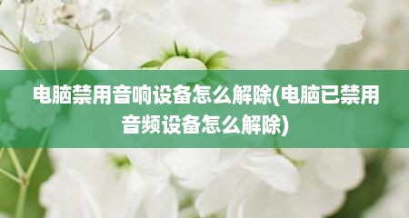 电脑禁用音响设备怎么解除(电脑已禁用音频设备怎么解除)