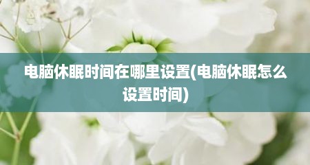 电脑休眠时间在哪里设置(电脑休眠怎么设置时间)