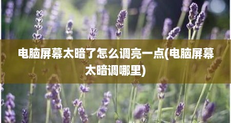电脑屏幕太暗了怎么调亮一点(电脑屏幕太暗调哪里)