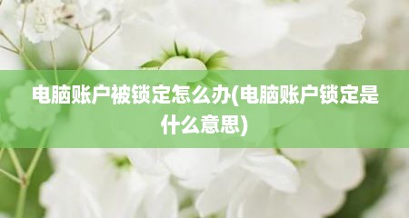电脑账户被锁定怎么办(电脑账户锁定是什么意思)