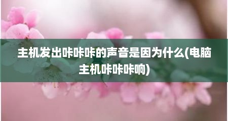 主机发出咔咔咔的声音是因为什么(电脑主机咔咔咔响)