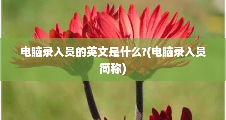电脑录入员的英文是什么?(电脑录入员简称)