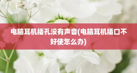 电脑耳机插孔没有声音(电脑耳机插口不好使怎么办)