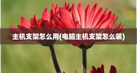 主机支架怎么用(电脑主机支架怎么装)