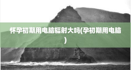怀孕初期用电脑辐射大吗(孕初期用电脑)