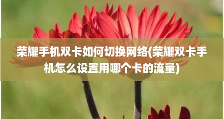 荣耀手机双卡如何切换网络(荣耀双卡手机怎么设置用哪个卡的流量)