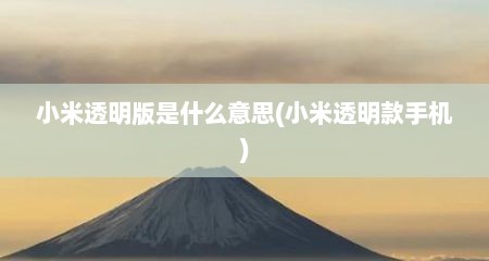 小米透明版是什么意思(小米透明款手机)