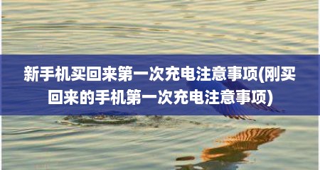 新手机买回来第一次充电注意事项(刚买回来的手机第一次充电注意事项)