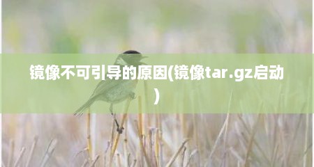 镜像不可引导的原因(镜像tar.gz启动)