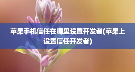 苹果手机信任在哪里设置开发者(苹果上设置信任开发者)