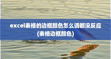 excel表格的边框颜色怎么调都没反应(表格边框颜色)