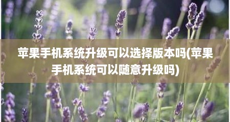 苹果手机系统升级可以选择版本吗(苹果手机系统可以随意升级吗)
