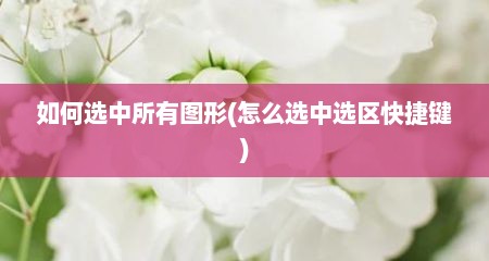 如何选中所有图形(怎么选中选区快捷键)