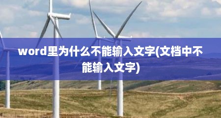 word里为什么不能输入文字(文档中不能输入文字)