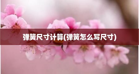 弹簧尺寸计算(弹簧怎么写尺寸)