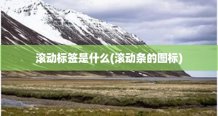 滚动标签是什么(滚动条的图标)