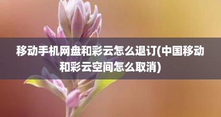 移动手机网盘和彩云怎么退订(中国移动和彩云空间怎么取消)