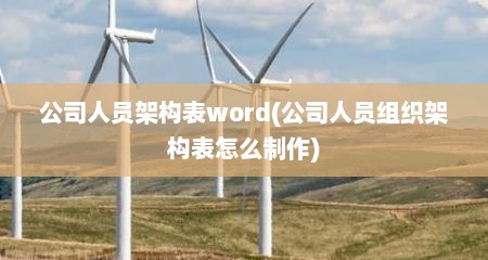 公司人员架构表word(公司人员组织架构表怎么制作)