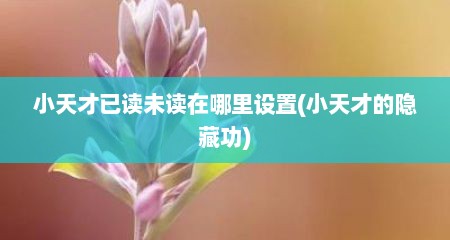 小天才已读未读在哪里设置(小天才的隐藏功)