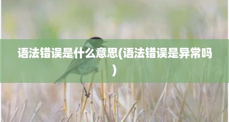 语法错误是什么意思(语法错误是异常吗)