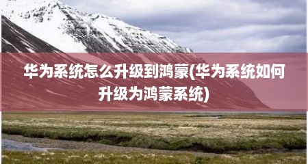 华为系统怎么升级到鸿蒙(华为系统如何升级为鸿蒙系统)