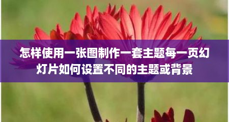怎样使用一张图制作一套主题每一页幻灯片如何设置不同的主题或背景