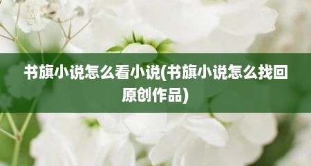 书旗小说怎么看小说(书旗小说怎么找回原创作品)
