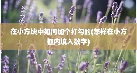 在小方块中如何加个打勾的(怎样在小方框内填入数字)