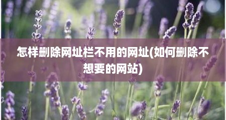 怎样删除网址栏不用的网址(如何删除不想要的网站)