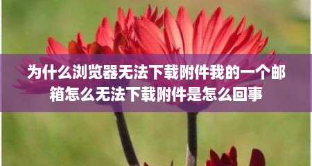 为什么浏览器无法下载附件我的一个邮箱怎么无法下载附件是怎么回事