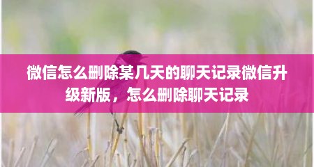 微信怎么删除某几天的聊天记录微信升级新版，怎么删除聊天记录